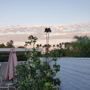 Meet your Posher, Sheva